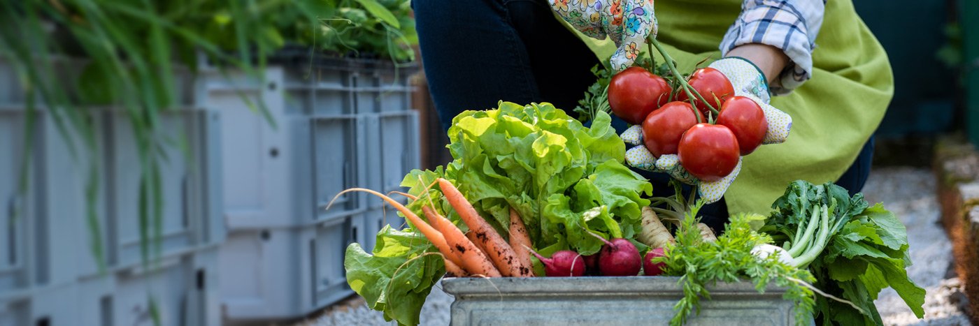 Les Meilleures Recettes de Saison pour l'Automne