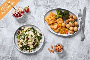 Guide Complet pour un Repas Végan